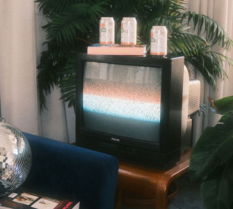 In einem Raum steht ein Röhrenfernseher, auf dem Dosen gestapelt wurden. Im Hintergrund sind Pflanzen zu sehen. | © unsplash/Marissa Lewis