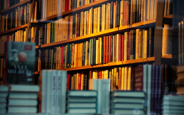 Freundlicher Buchladen mit vielen Büchern, Symbolbild.  | © Wal 172619 | Pexels 