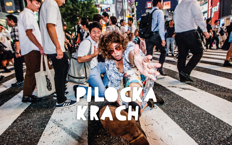 © Foto: Carolin Saage